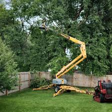 Best Utility Line Clearance  in Feasterville, PA